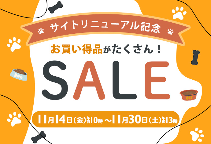 ファーストビュー画像