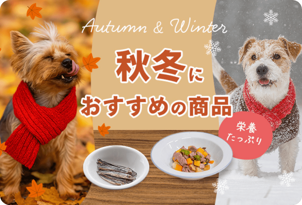 ファーストビュー画像