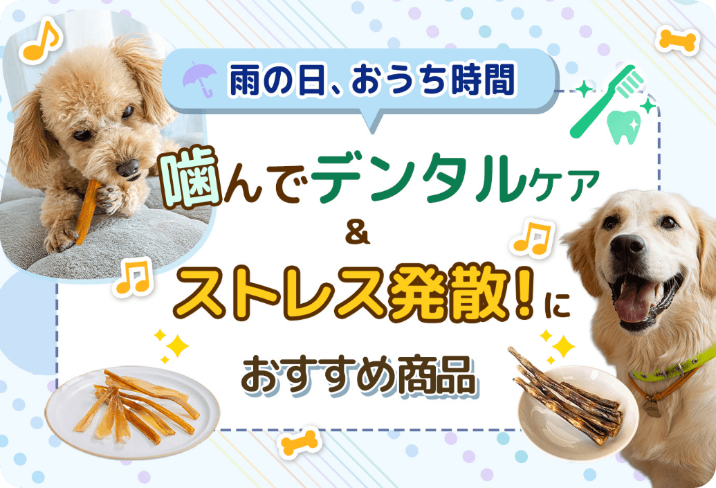 ファーストビュー画像