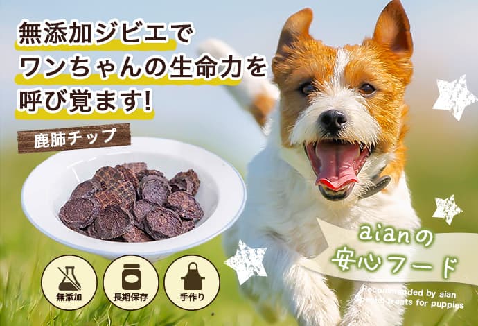 ファーストビュー画像