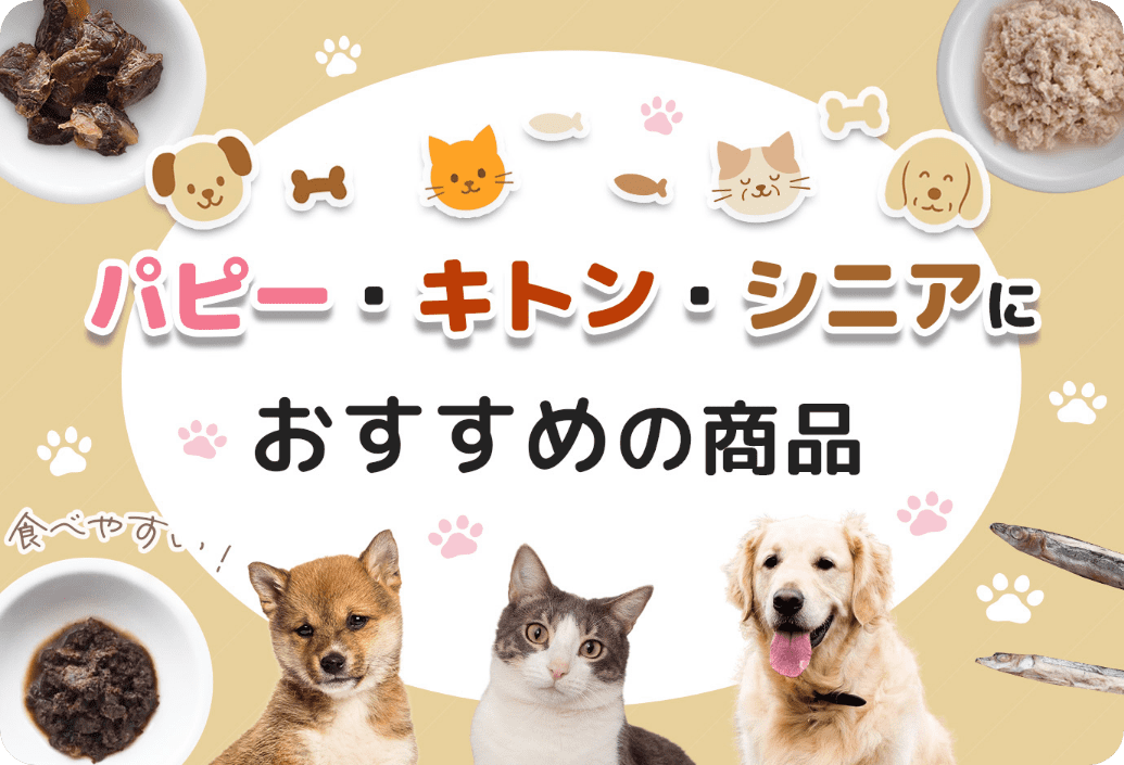 ファーストビュー画像