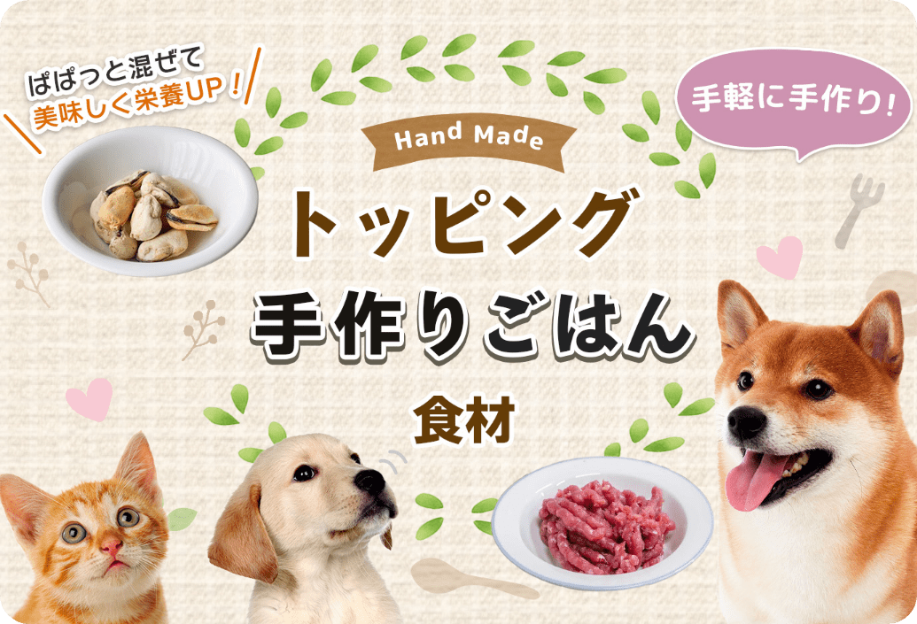 ファーストビュー画像