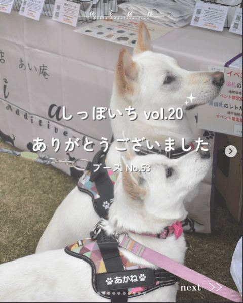 インスタグラム投稿画像