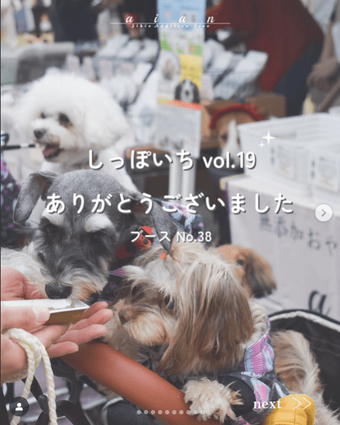 インスタグラム投稿画像