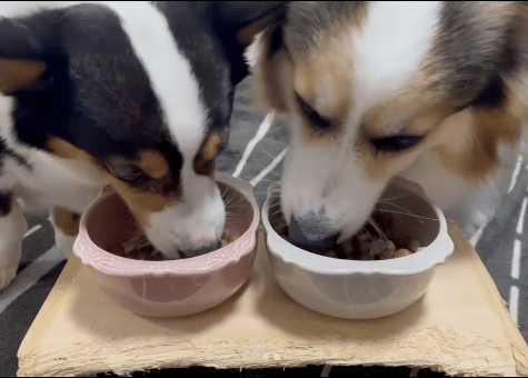 インスタグラム投稿画像