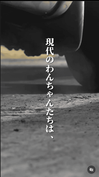 インスタグラム投稿画像