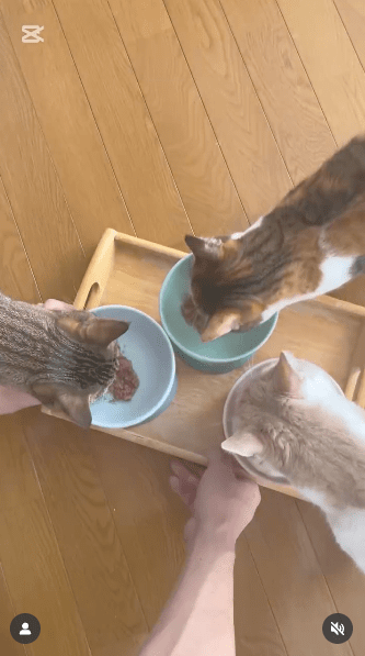 インスタグラム投稿画像