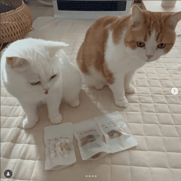 インスタグラム投稿画像