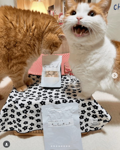 インスタグラム投稿画像