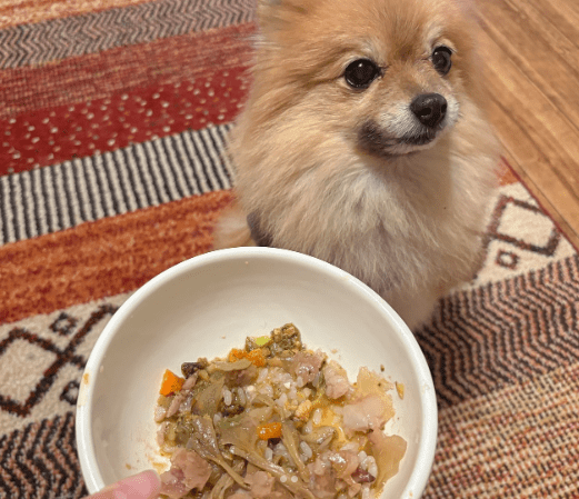 インスタグラム投稿画像