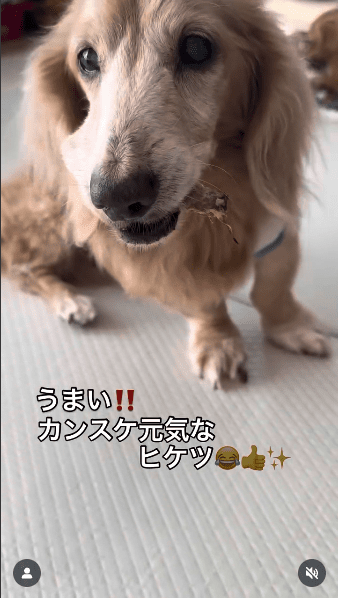 インスタグラム投稿画像