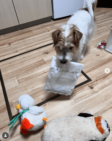 インスタグラム投稿画像