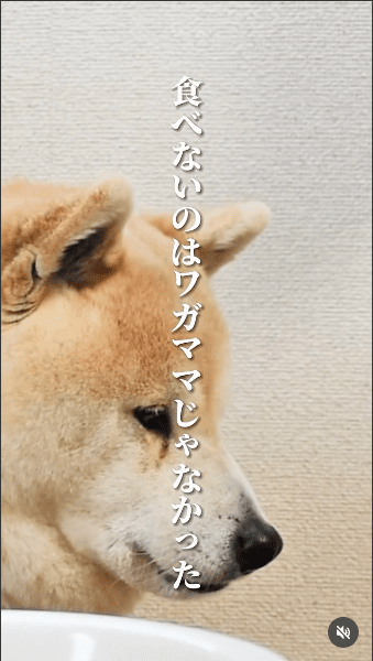 インスタグラム投稿画像