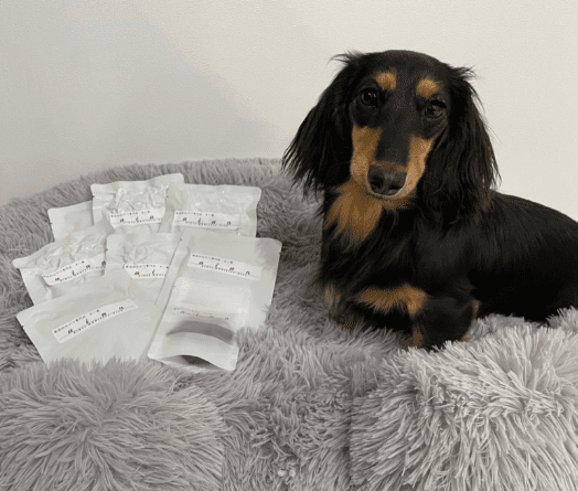 インスタグラム投稿画像