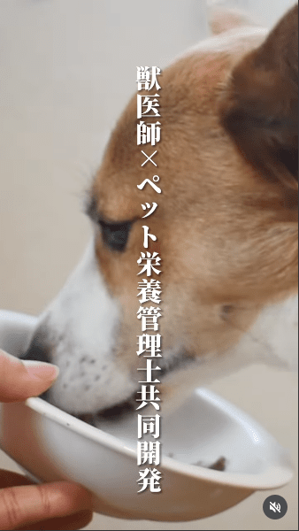 インスタグラム投稿画像