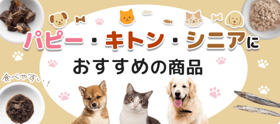 パピー・キトンからシニアにおすすめの商品