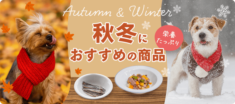 秋冬におすすめの商品