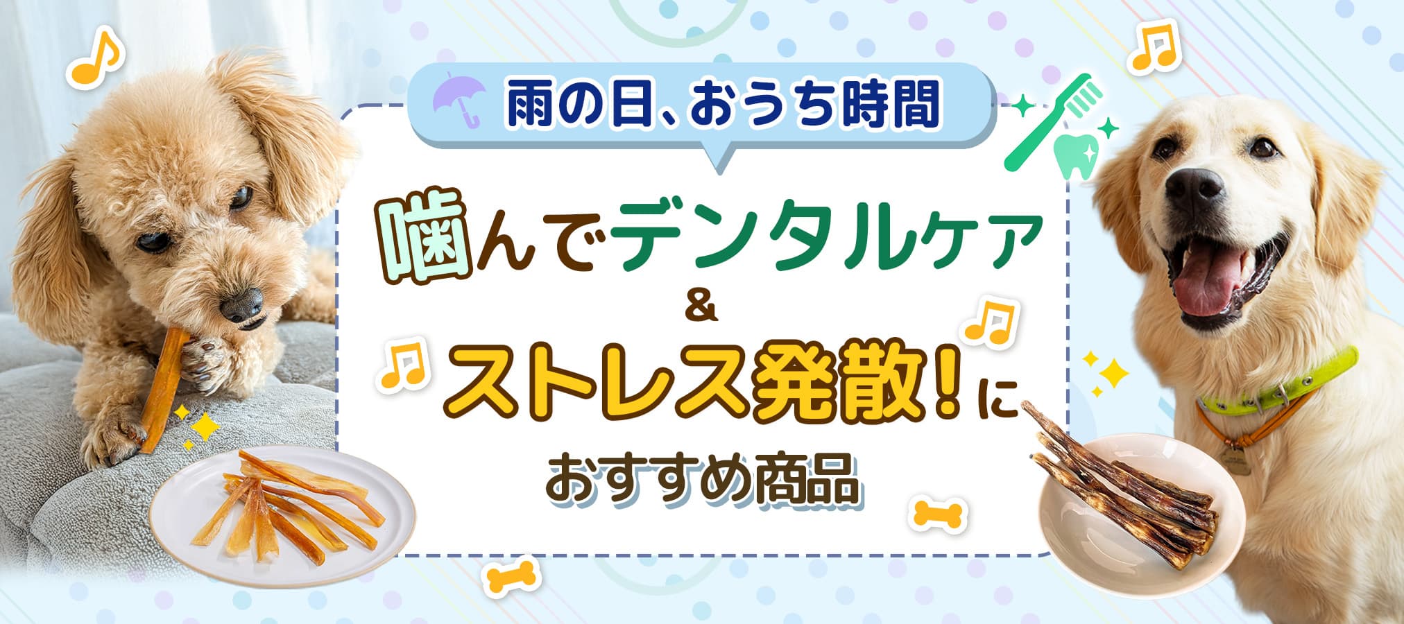 噛んでデンタルケア&ストレス発散におすすめ商品