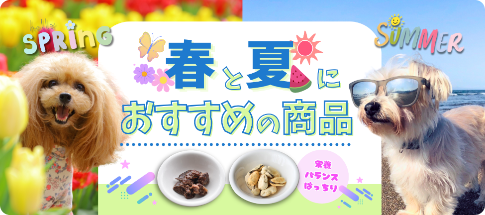 春夏におすすめの商品