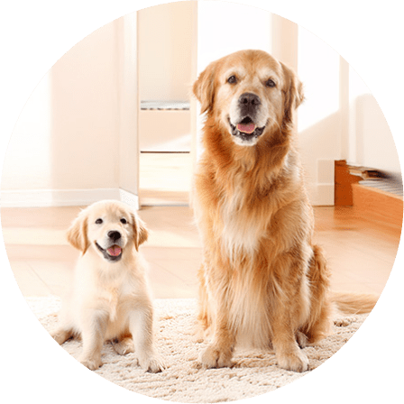 aianが選ばれる理由3