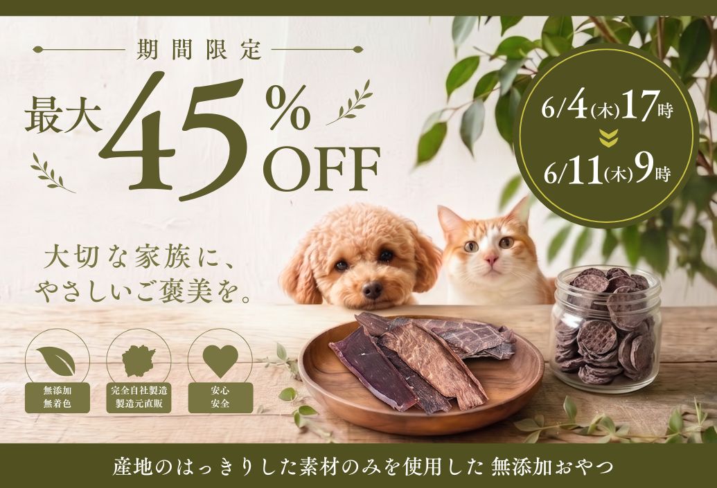 ファーストビュー画像