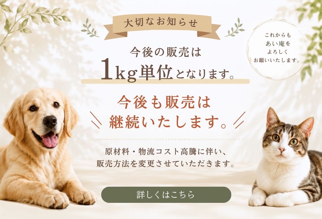 ファーストビュー画像