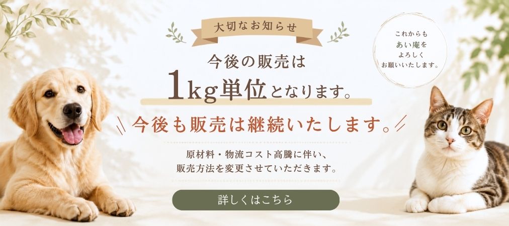 セールバナー