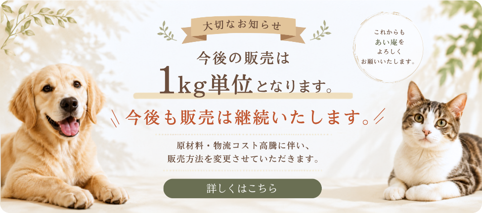 セールバナー