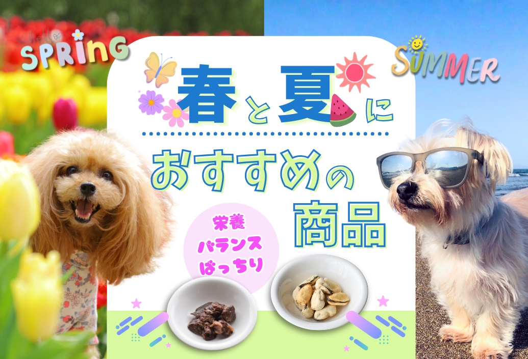 ファーストビュー画像