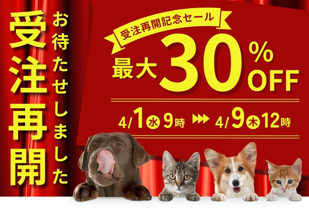 ファーストビュー画像