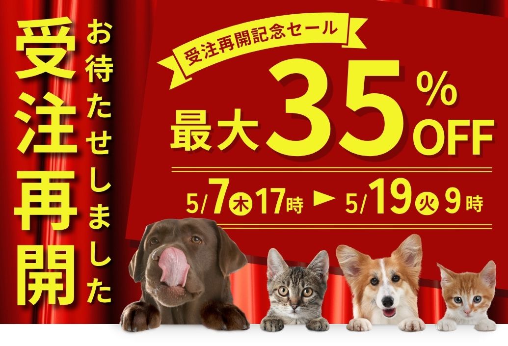 ファーストビュー画像